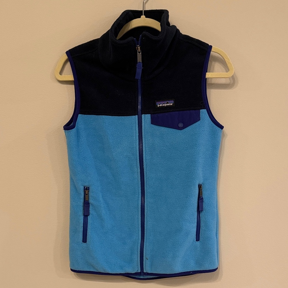 Patagonia Two-Tone Blue Synchilla Fleece Vest